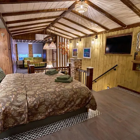 Scandinavian Rustic 公寓