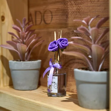 Scandinavian Rustic * Tríkala