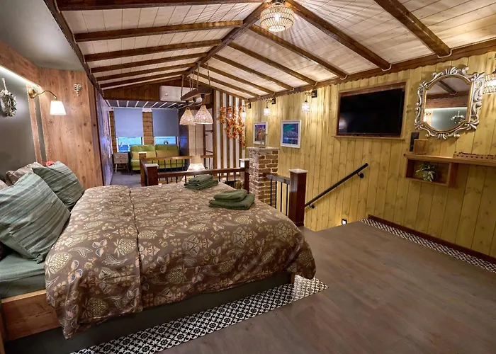 Scandinavian Rustic 公寓