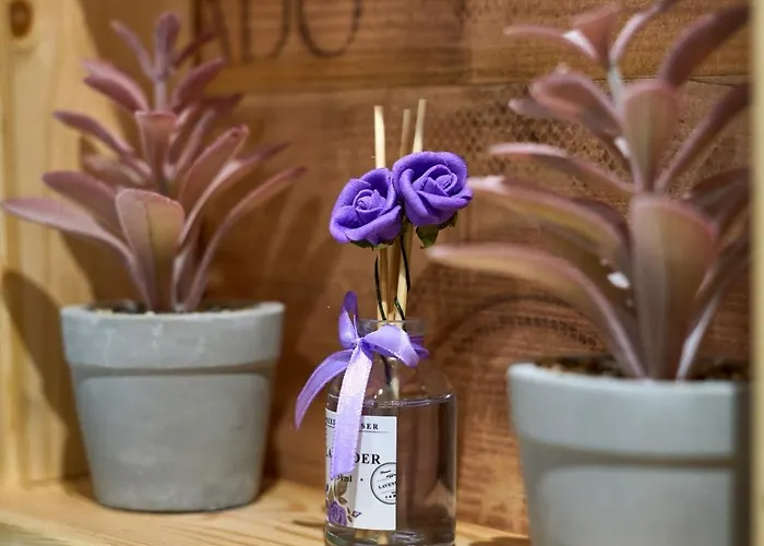 Scandinavian Rustic * 特里卡拉